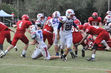 Enlarge photo 384