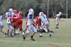 Enlarge photo 387
