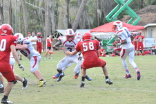 Enlarge photo 398