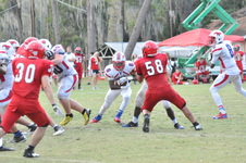 Enlarge photo 399