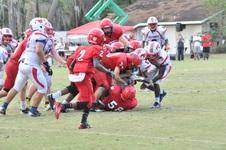 Enlarge photo 407