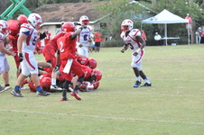 Enlarge photo 408