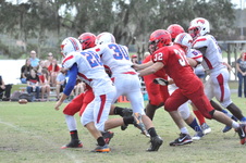 Enlarge photo 417