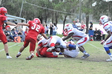 Enlarge photo 421