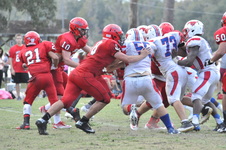 Enlarge photo 424