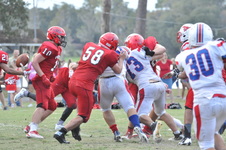 Enlarge photo 425