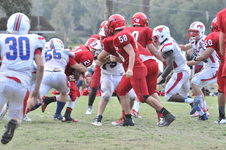 Enlarge photo 428