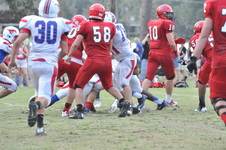 Enlarge photo 429