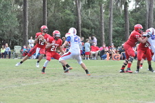 Enlarge photo 435