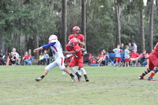 Enlarge photo 437