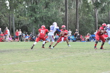 Enlarge photo 438