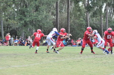 Enlarge photo 439