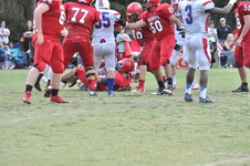Enlarge photo 441