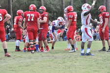 Enlarge photo 442