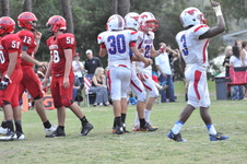Enlarge photo 444