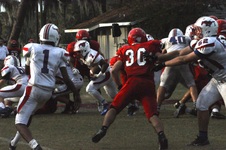 Enlarge photo 491