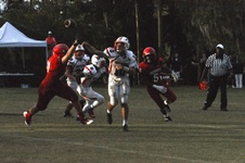 Enlarge photo 501