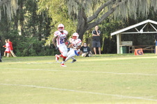 Enlarge photo 524