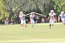 Enlarge photo 528