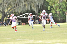 Enlarge photo 529