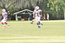 Enlarge photo 530