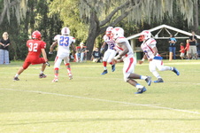 Enlarge photo 533