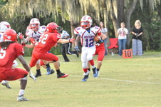 Enlarge photo 537