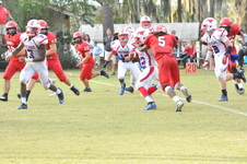 Enlarge photo 536