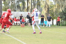 Enlarge photo 550