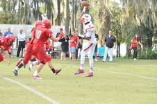 Enlarge photo 551