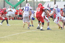 Enlarge photo 555
