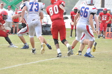 Enlarge photo 557