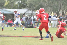 Enlarge photo 560