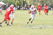 Enlarge photo 568