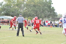 Enlarge photo 581