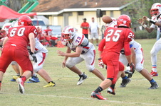 Enlarge photo 597