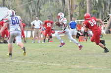Enlarge photo 604