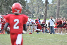 Enlarge photo 613