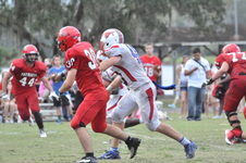Enlarge photo 615
