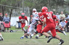 Enlarge photo 617