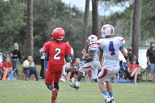 Enlarge photo 621