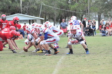 Enlarge photo 629