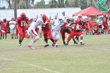 Enlarge photo 654