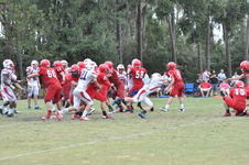 Enlarge photo 676