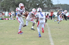 Enlarge photo 700