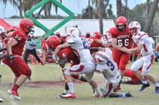Enlarge photo 723