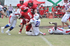 Enlarge photo 725