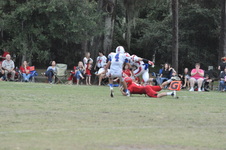 Enlarge photo 729
