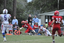 Enlarge photo 733