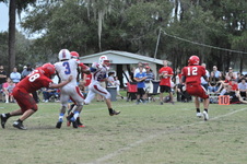 Enlarge photo 762